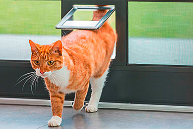 Katze geht durch die Haustierklappe, welche mit stabilem Polyestergewebe bespannt ist